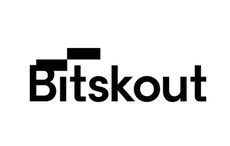 Bitskout